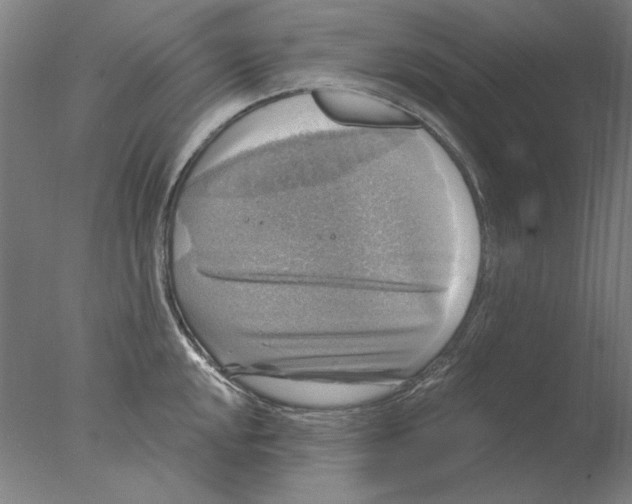 X0000076081048200610202035