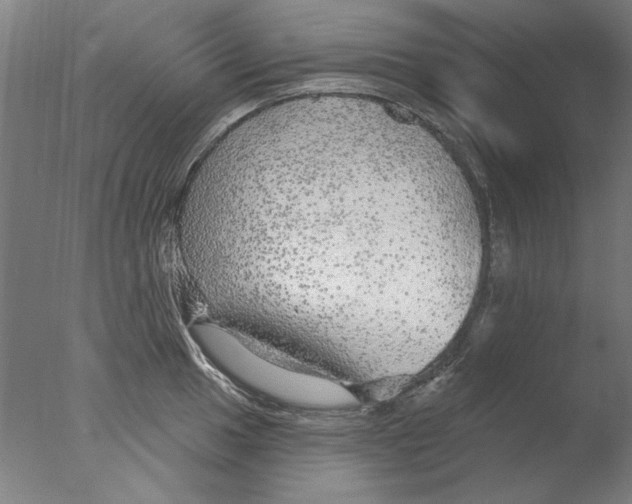 X0000076081049200610202035