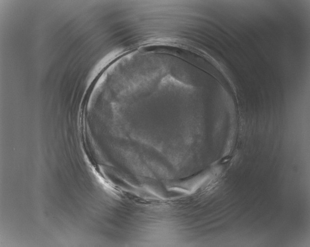 X0000076081050200610202035