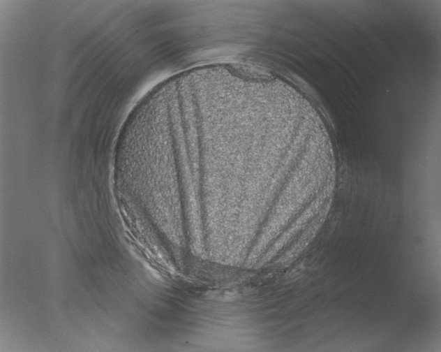 X0000076081051200610202035