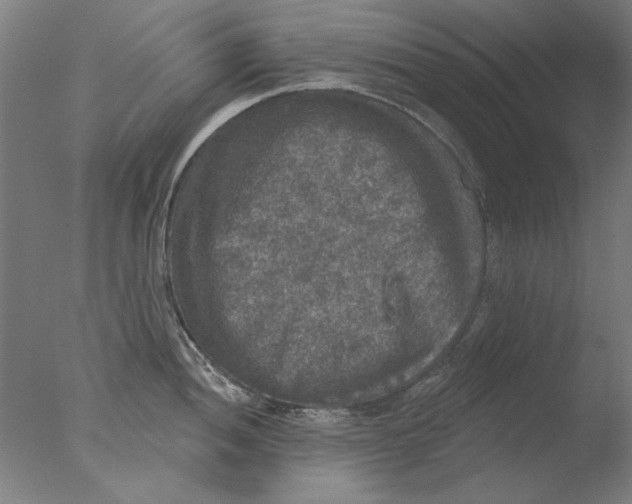 X0000076081052200610202035