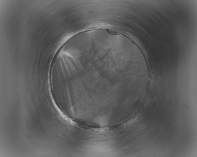 X0000076081055200610202035