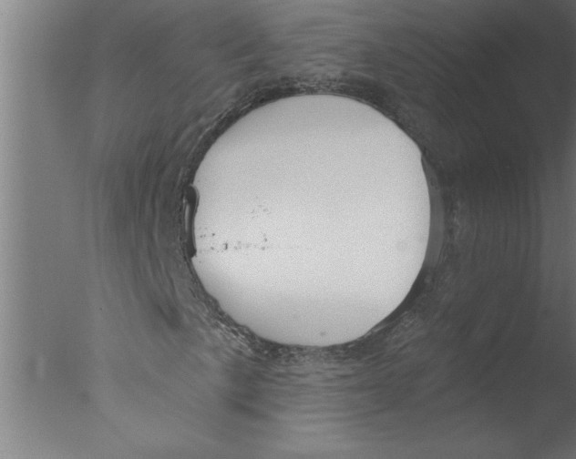 X0000076081057200610202034