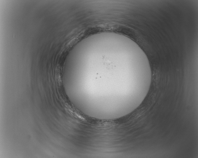 X0000076081058200610202034