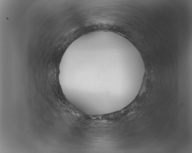 X0000076081061200610202034