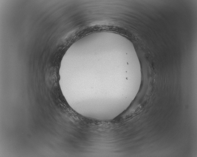 X0000076081062200610202034