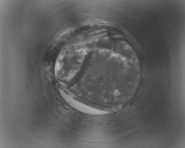 X0000076081063200610202034