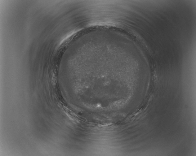 X0000076081064200610202034