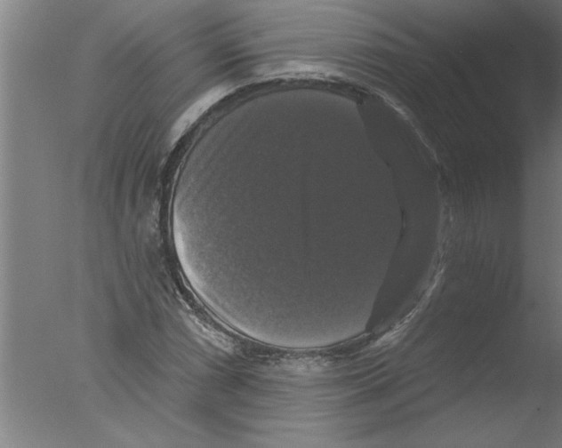 X0000076081066200610202034