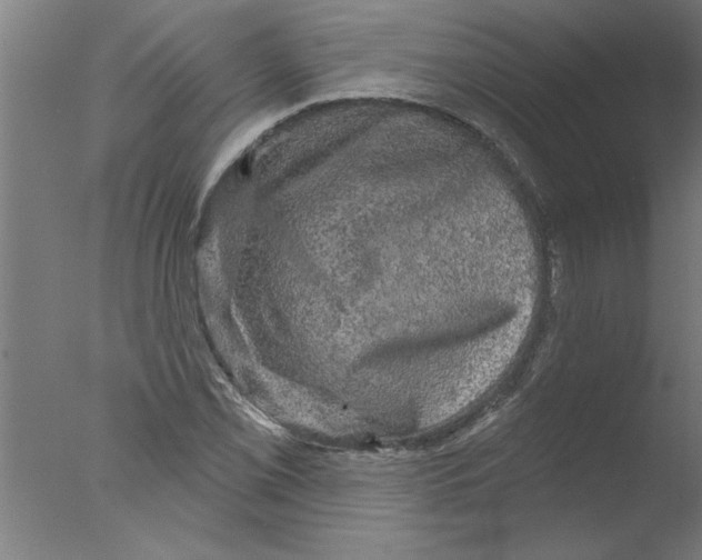 X0000076081069200610202034