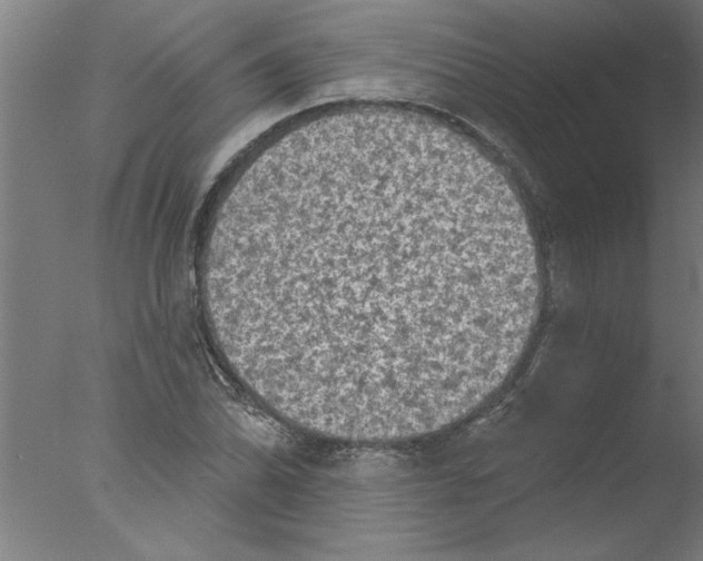 X0000076081070200610202034