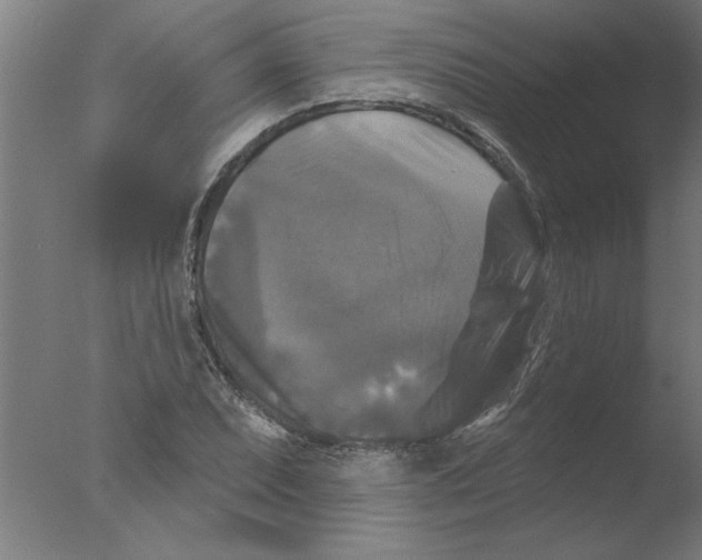 X0000076081071200610202034