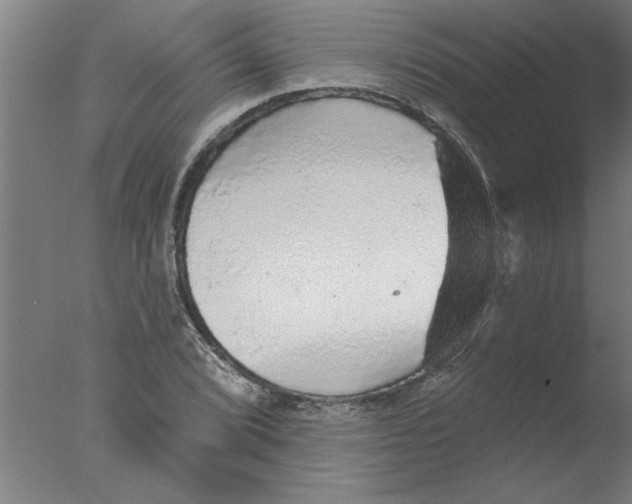 X0000076081072200610202034