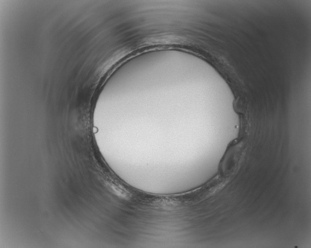 X0000076081073200610202034