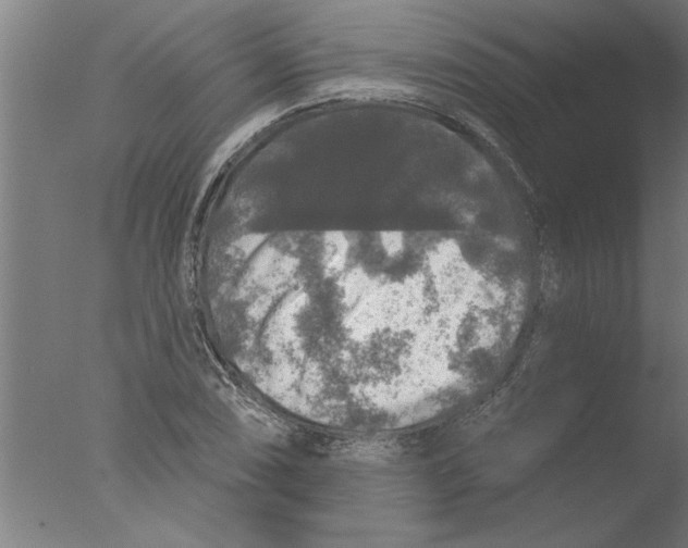 X0000076081074200610202034