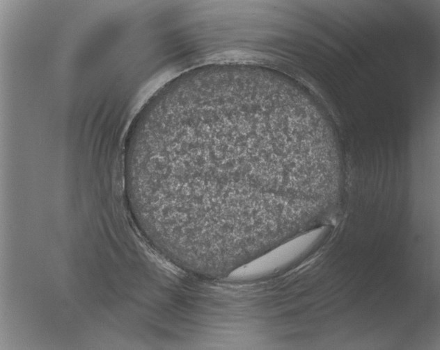 X0000076081075200610202034