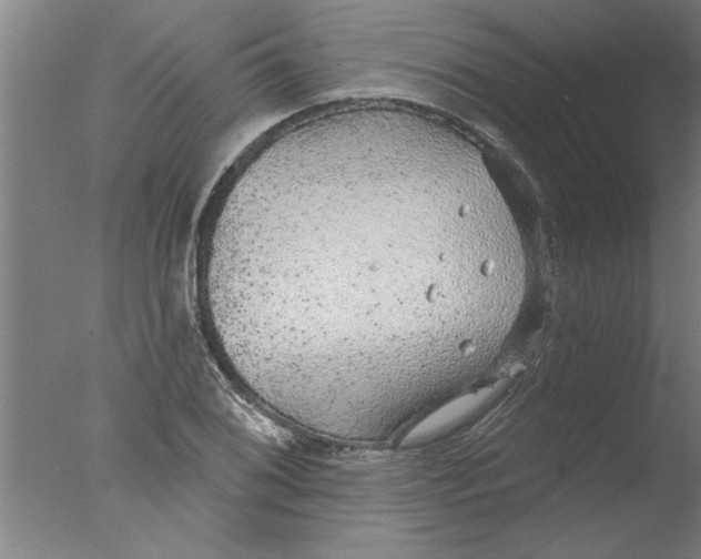 X0000076081076200610202034