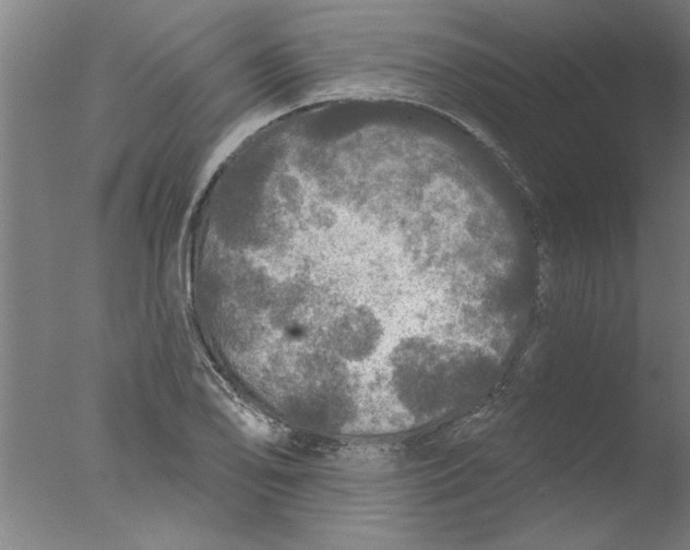 X0000076081078200610202034