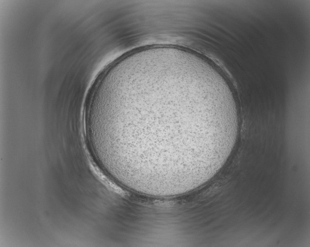 X0000076081080200610202034