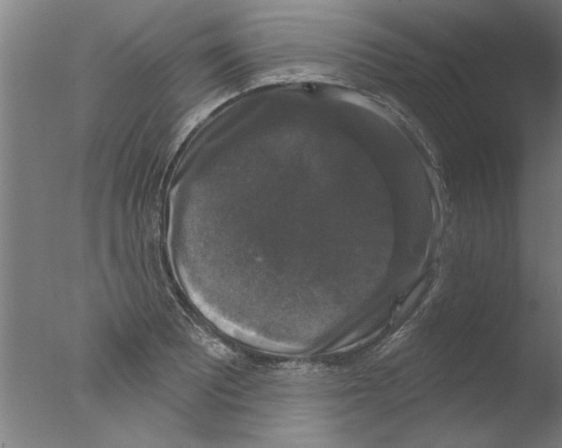 X0000076081081200610202034