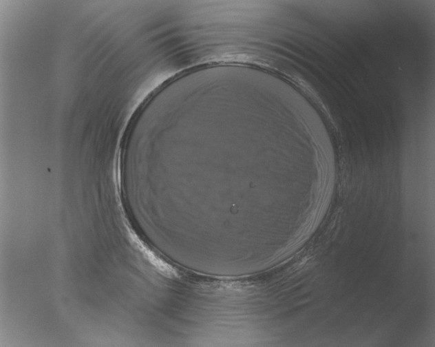 X0000076081084200610202034