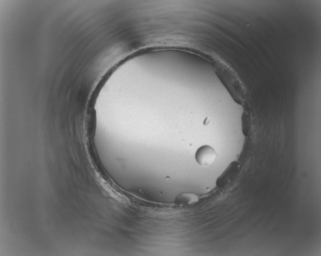 X0000076081085200610202034