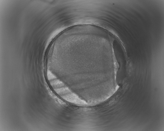 X0000076081088200610202034