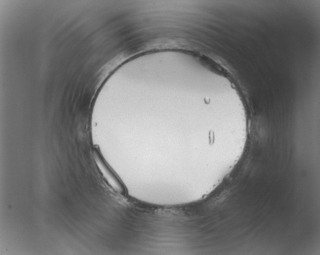 X0000076081089200610202034