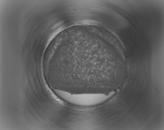 X0000076081091200610202034