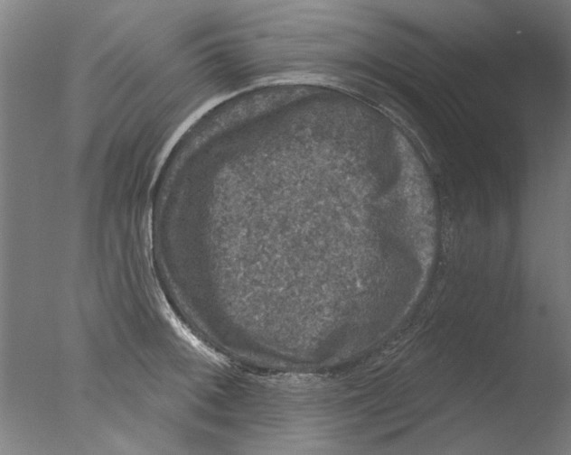 X0000076081092200610202034