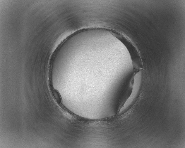 X0000076081093200610202034