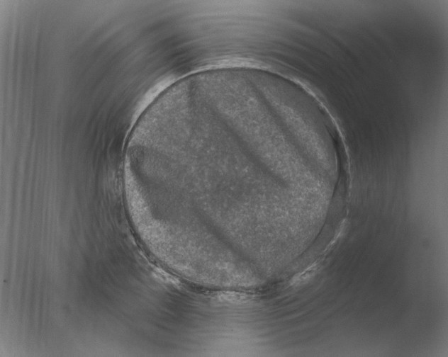 X0000076081097200610202034