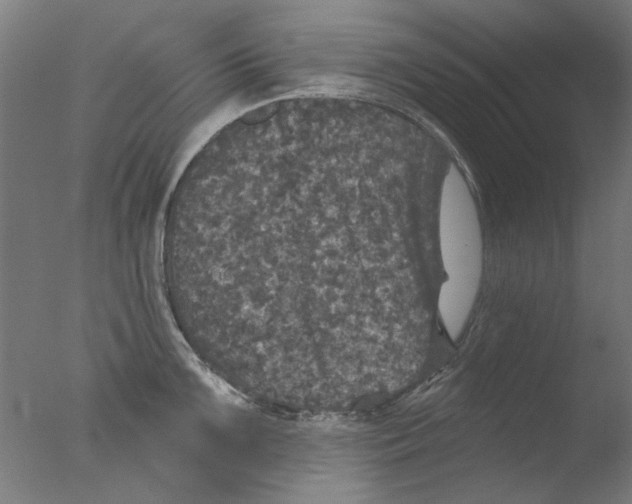 X0000076081099200610202034