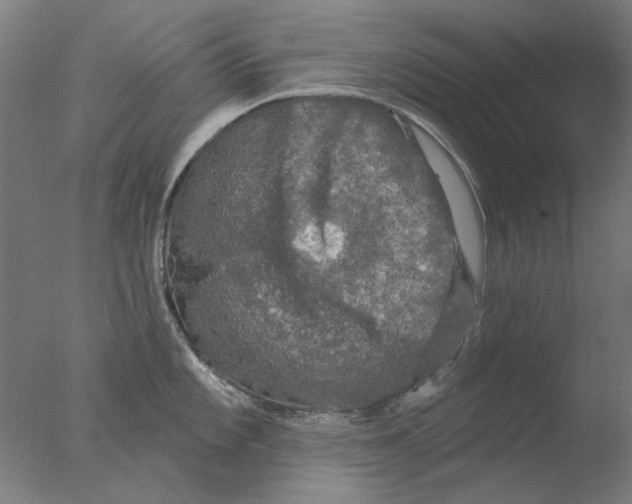 X0000076081101200610202034