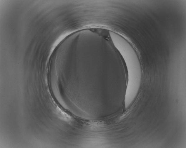 X0000076081102200610202034