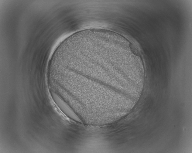 X0000076081104200610202034