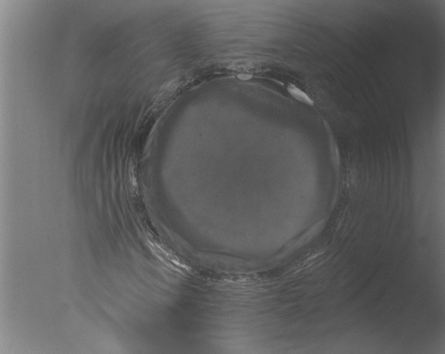 X0000076081106200610202033