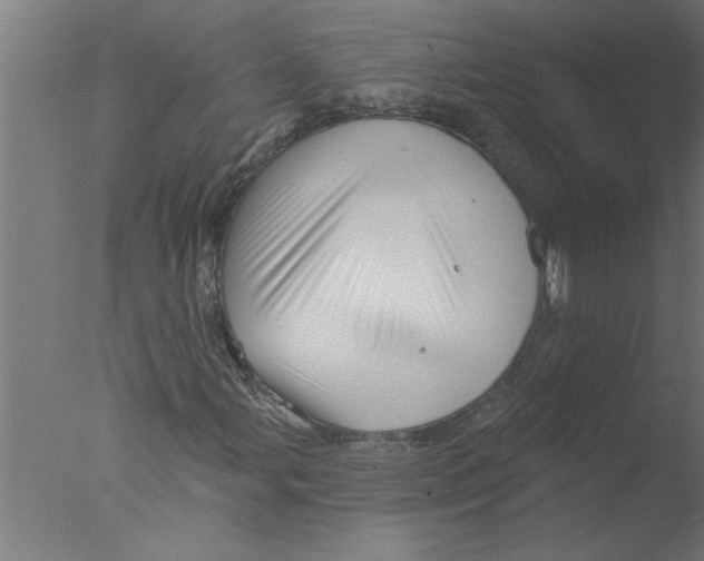 X0000076081107200610202033