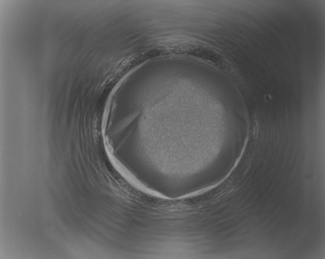 X0000076081108200610202033