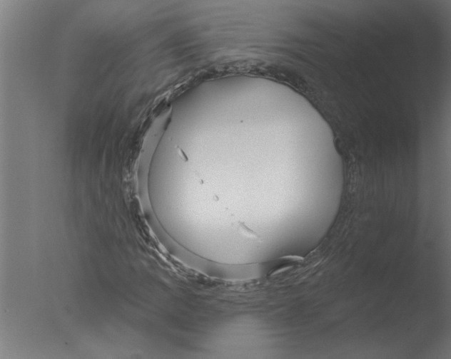 X0000076081109200610202033