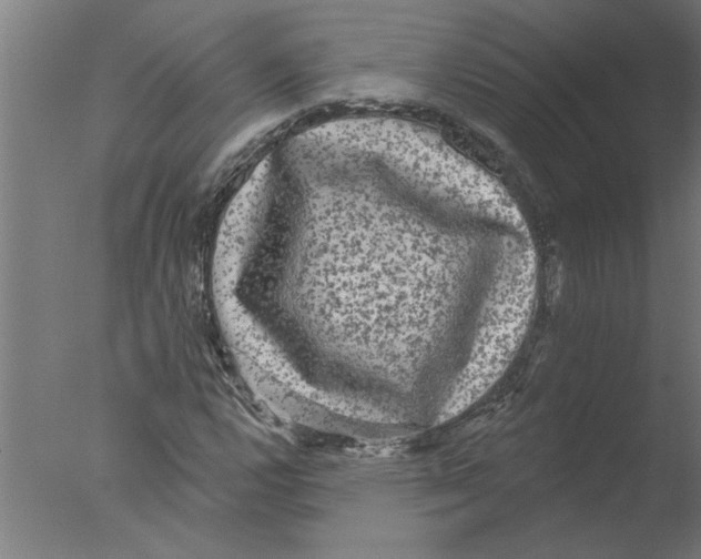 X0000076081112200610202033