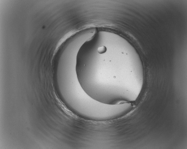 X0000076081114200610202033