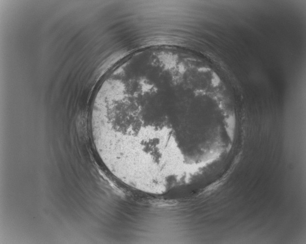 X0000076081121200610202033