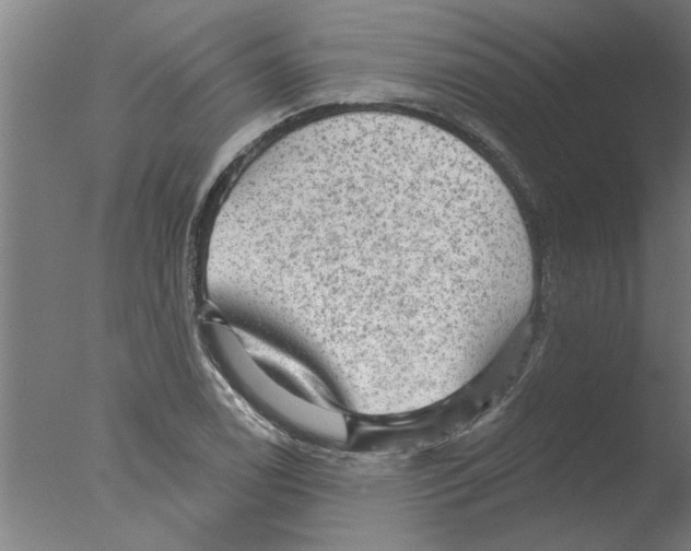 X0000076081122200610202033