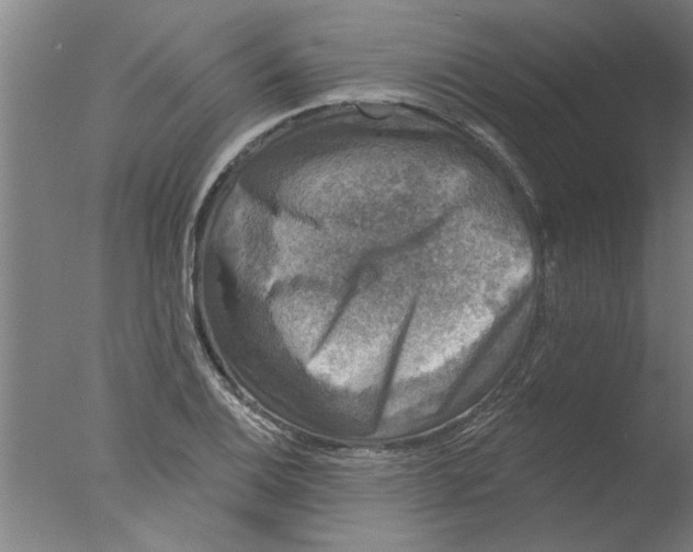 X0000076081124200610202033