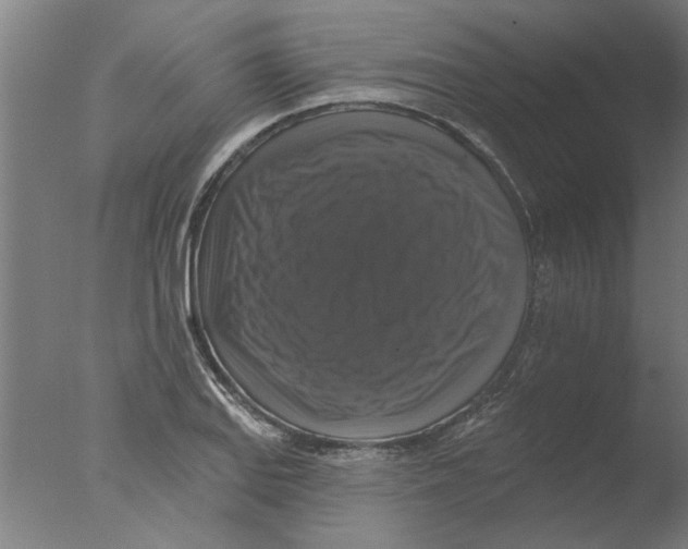 X0000076081127200610202033