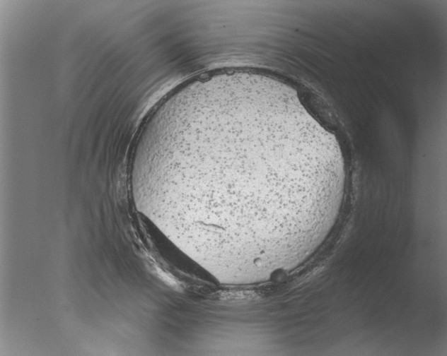 X0000076081129200610202033