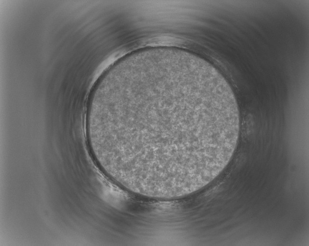 X0000076081130200610202033