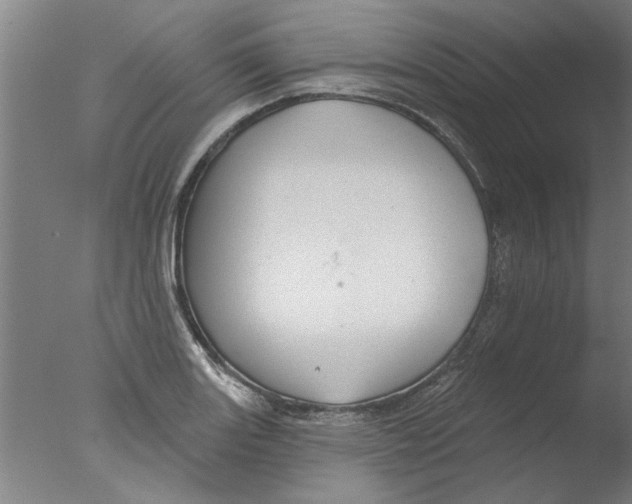 X0000076081131200610202033