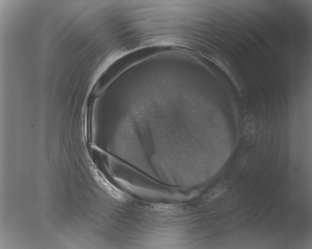 X0000076081132200610202033